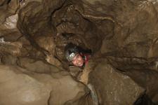 2016-09-24_15h26m-RhysTyers-SonyRX100III-LargePot-DSC03126