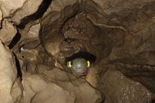 2016-09-24_15h26m-RhysTyers-SonyRX100III-LargePot-DSC03127