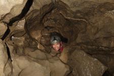 2016-09-24_15h26m-RhysTyers-SonyRX100III-LargePot-DSC03129