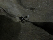 2016-10-16_14h02m-BenHonan-CanonS95-AgenAllwedd-IMG_0126