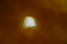 2016-10-29_21h10m-RhysTyers-SonyRX100II-Whitewalls-DSC03260