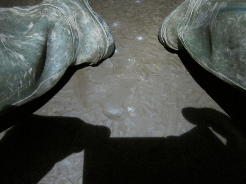 2016-10-30_14h08m-BenHonan-PowerShotS95-AgenAllwedd-IMG_0191