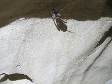 2016-10-30_16h38m-BenHonan-PowerShotS95-AgenAllwedd-IMG_0224