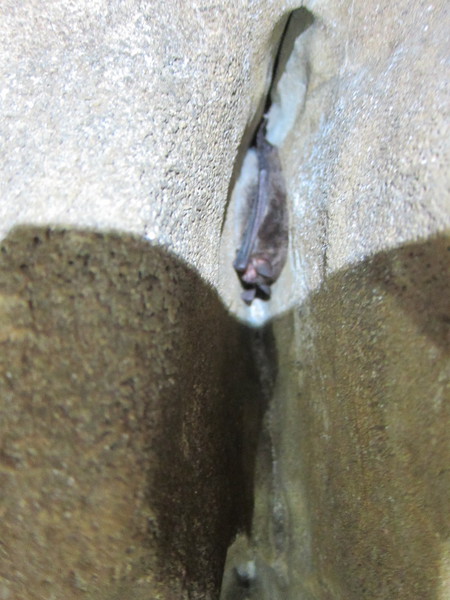 2016-10-30_16h41m-BenHonan-PowerShotS95-AgenAllwedd-IMG_0227