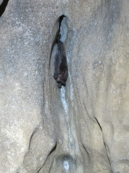 2016-10-30_16h41m-BenHonan-PowerShotS95-AgenAllwedd-IMG_0228