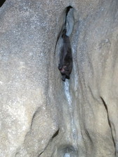 2016-10-30_16h41m-BenHonan-PowerShotS95-AgenAllwedd-IMG_0229