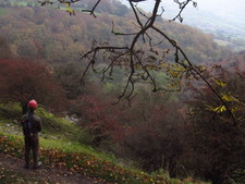 2016-10-30_16h46m-BenHonan-PowerShotS95-AgenAllwedd-IMG_0231