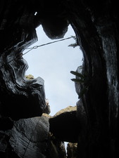 2016-11-12_12h54m-JarvistFrost-PowerShotS95-BullPot-IMG_0845