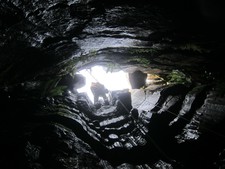 2016-11-12_12h55m-JarvistFrost-PowerShotS95-BullPot-IMG_0850