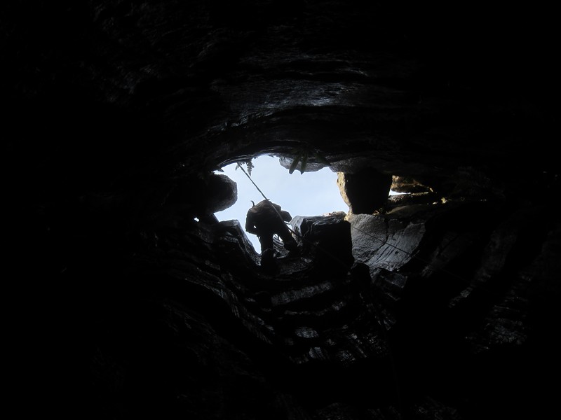 2016-11-12_12h55m-JarvistFrost-PowerShotS95-BullPot-IMG_0851