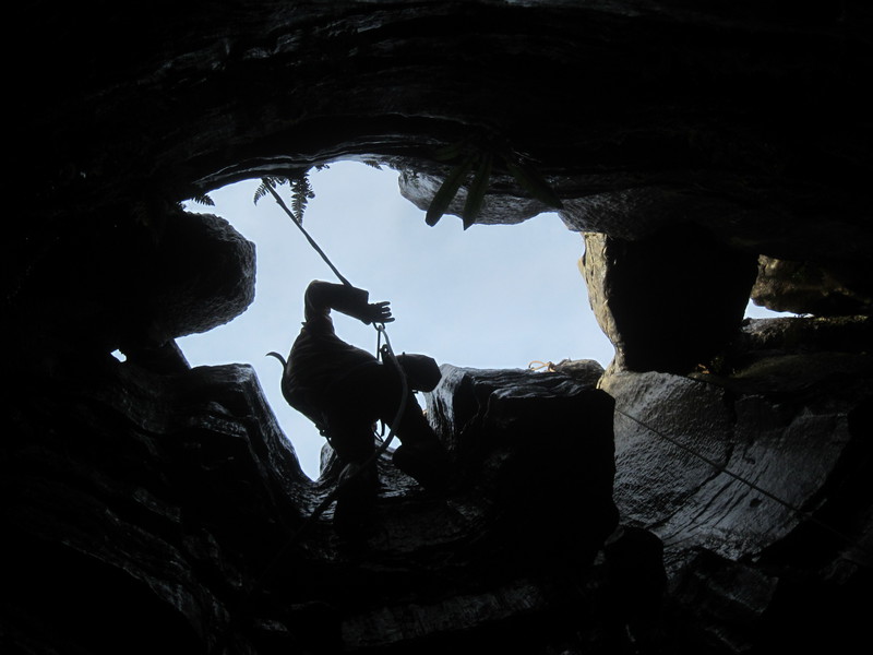 2016-11-12_12h56m-JarvistFrost-PowerShotS95-BullPot-IMG_0853