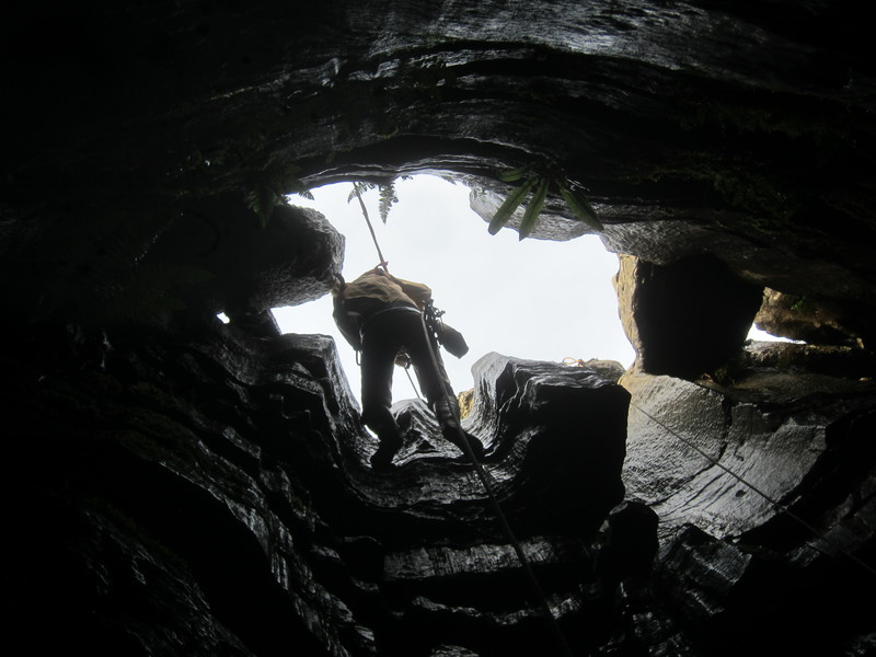 2016-11-12_12h56m-JarvistFrost-PowerShotS95-BullPot-IMG_0855