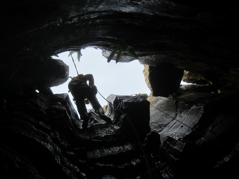 2016-11-12_12h56m-JarvistFrost-PowerShotS95-BullPot-IMG_0857