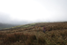 2016-11-12_13h34m-RhysTyers-SonyRX100II-Jingling-DSC03322