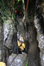 2016-11-12_14h11m-RhysTyers-SonyRX100II-Jingling-DSC03335