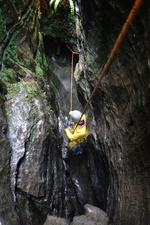 2016-11-12_14h30m-RhysTyers-SonyRX100II-Jingling-DSC03343