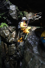 2016-11-12_14h37m-RhysTyers-SonyRX100II-Jingling-DSC03346