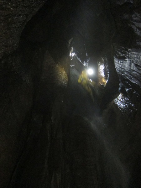 2016-11-12_15h05m-JarvistFrost-PowerShotS95-BullPot-IMG_0877