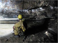 Thumbnail of photo from this article