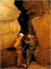 Thumbnail of photo from this article