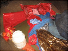 Thumbnail of photo from this article